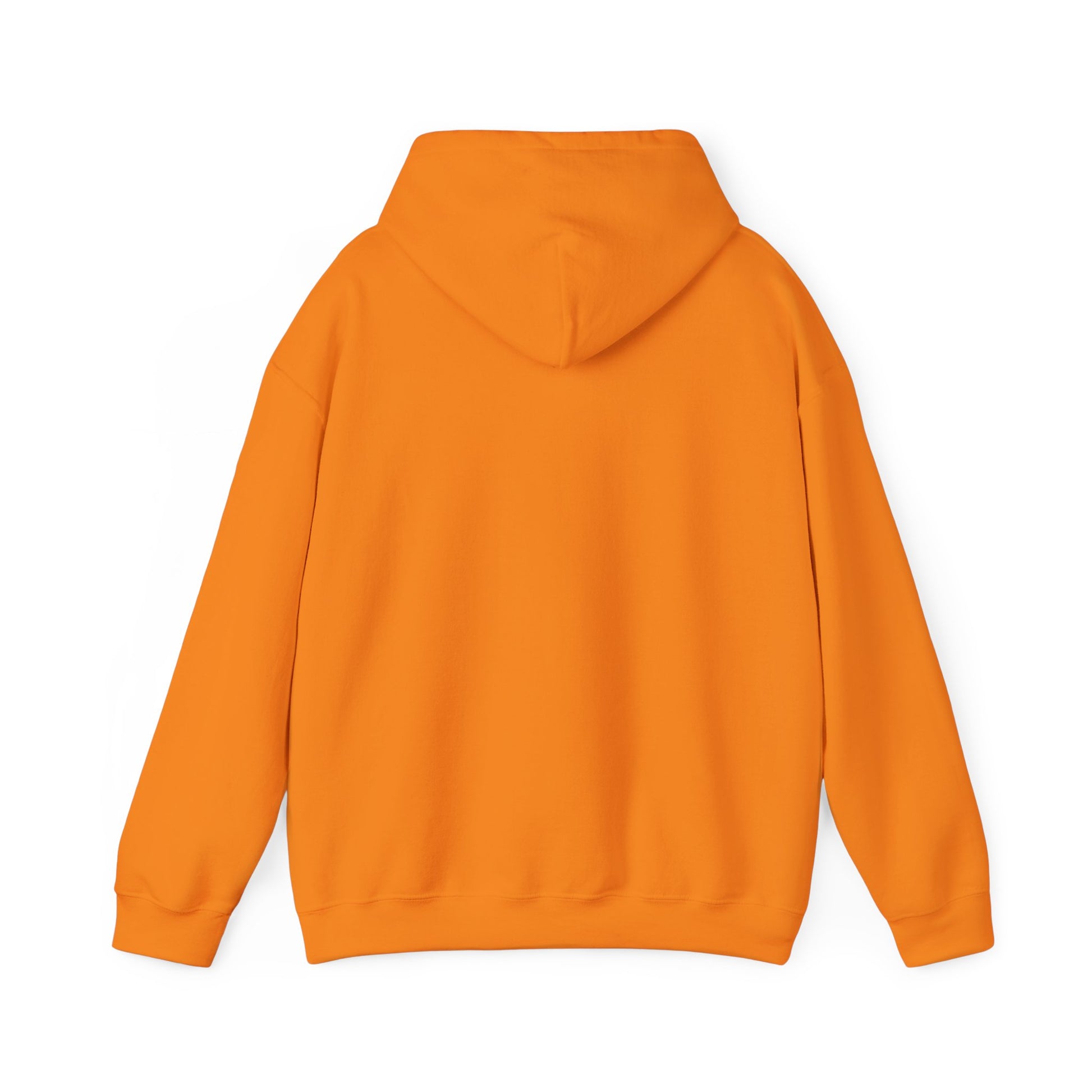 Camping Life Bear Hoodie