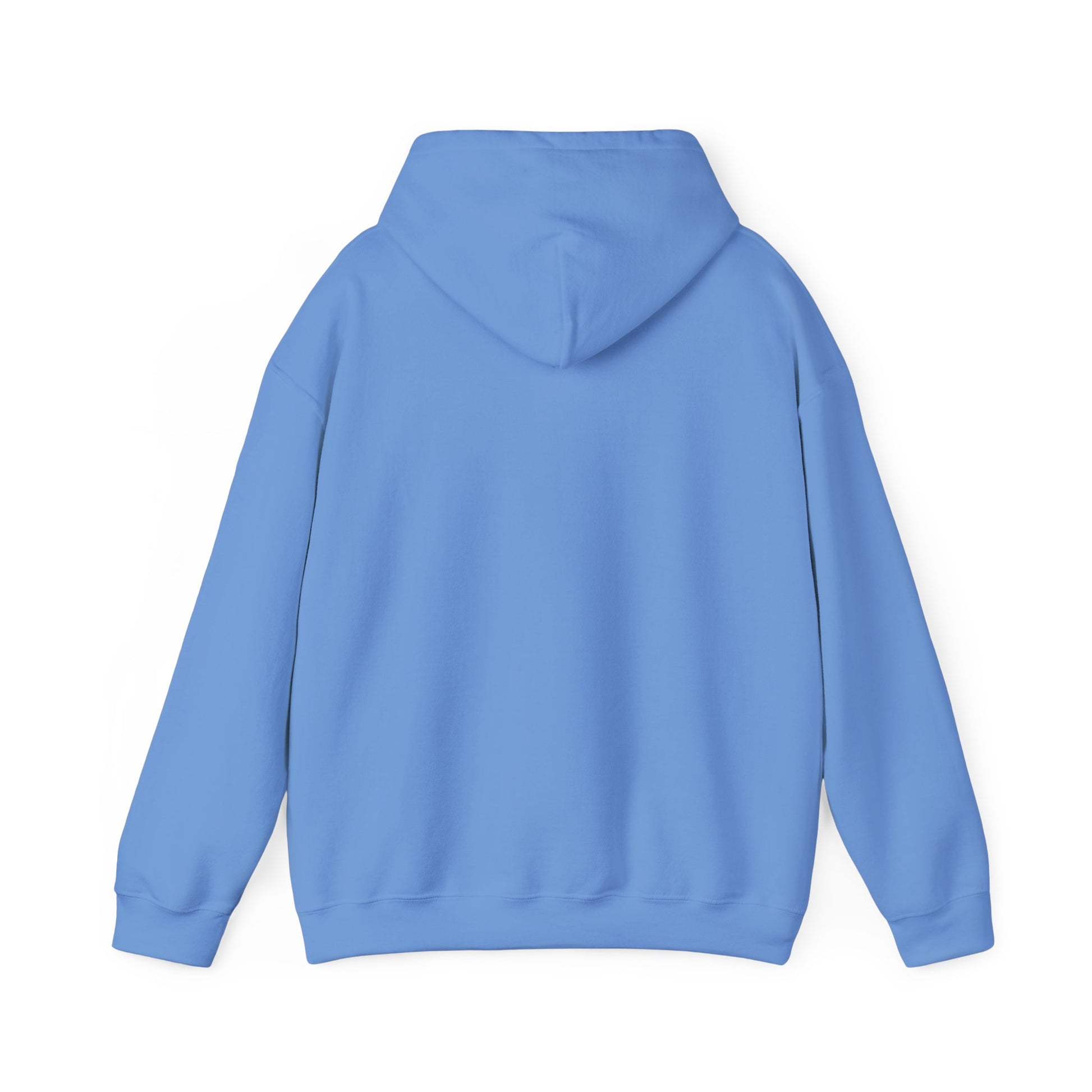 Camping Life Bear Hoodie